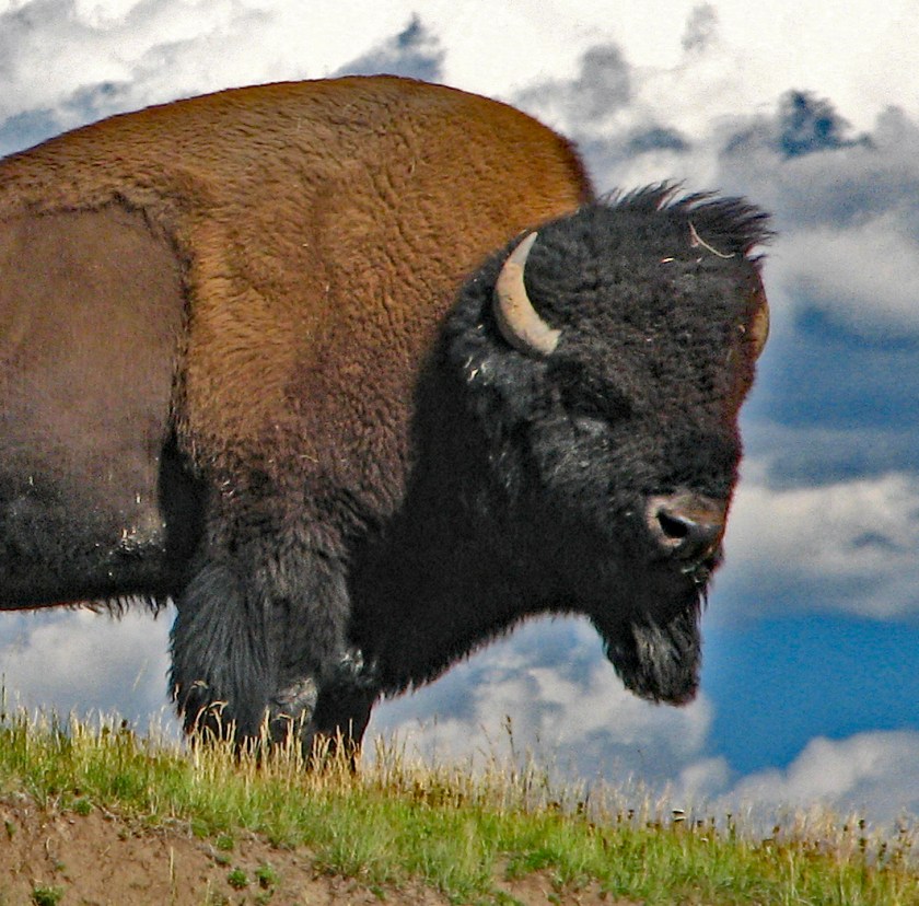 IMG_2389 for blog_edited-2